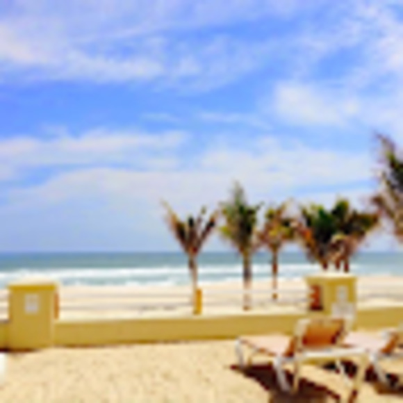 Meet your Posher, Augusto - Picture 1 of 1